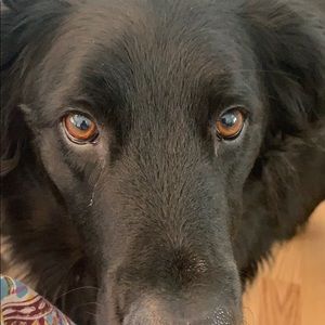 Meet your Posher, Stuart